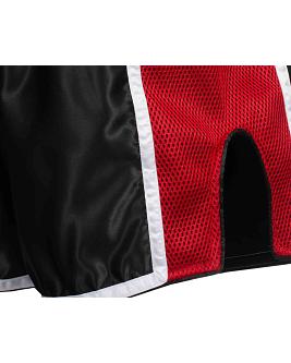 BenLee satin thaiboxing shorts Brockway 4