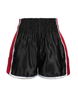 BenLee satin thaiboxing shorts Brockway 2