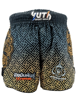 Fairtex Fight thaiboks shorts Black-Gold 4