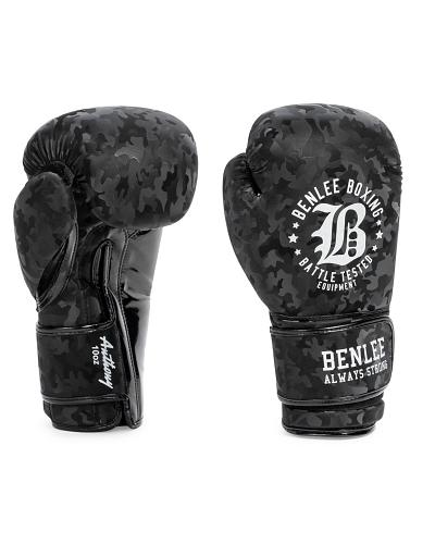 BenLee boxing gloves Anthony 1