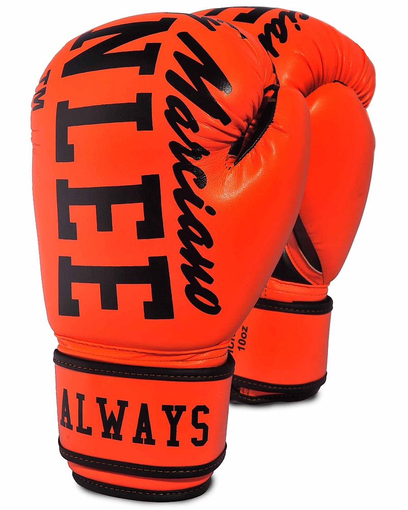BenLee boxing gloves Chunky B 1
