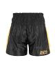 BenLee kick and muay thai shorts Goldy 2